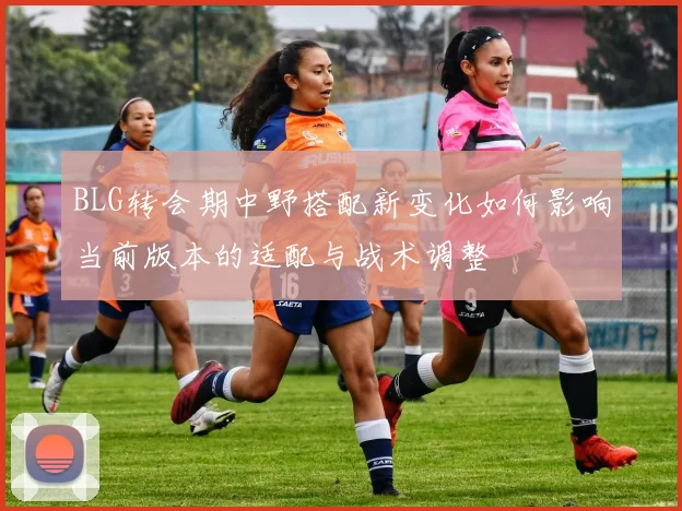 BLG转会期中野搭配新变化如何影响当前版本的适配与战术调整