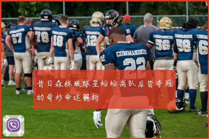 昔日森林狼球星纷纷离队后皆夺冠的奇妙命运解析