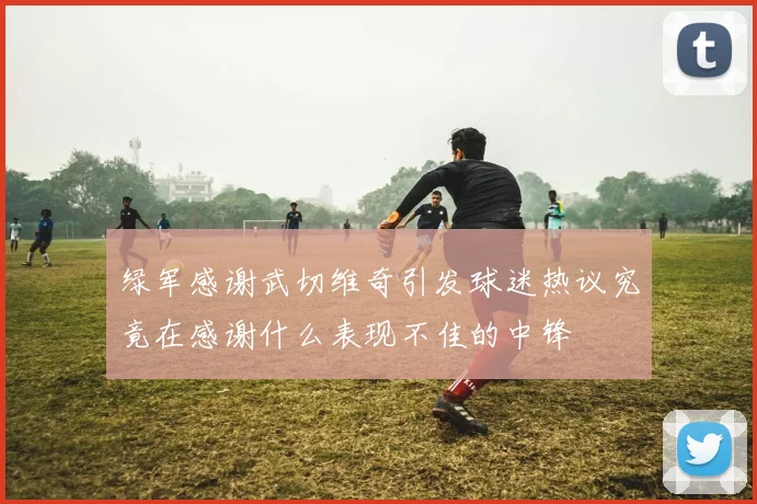 绿军感谢武切维奇引发球迷热议究竟在感谢什么表现不佳的中锋